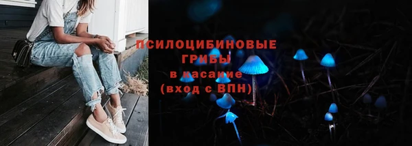 гидропоника Кулебаки