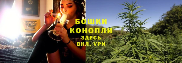 дмт Кукмор