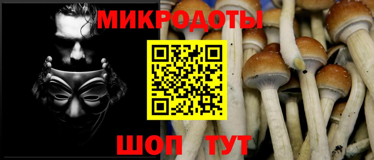 Псилоцибиновые грибы GOLDEN TEACHER  Галлюциногенные грибы Cubensis  Вход с VPN  Туапсе 